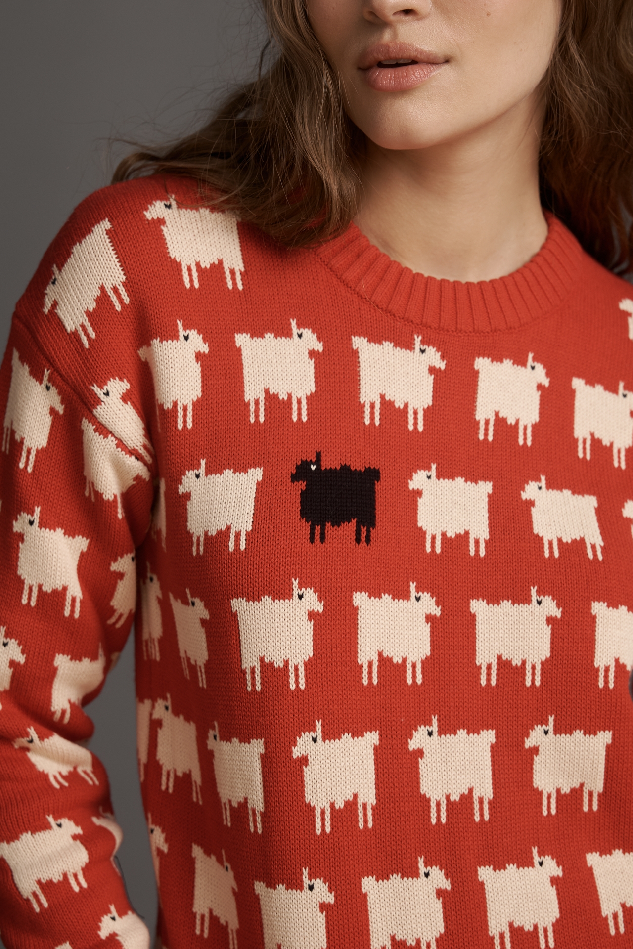 Rowing Blazers Warm & Wonderful Cotton Sheep Sweater