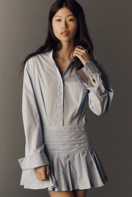 Pleated Buttondown Shirt Dress