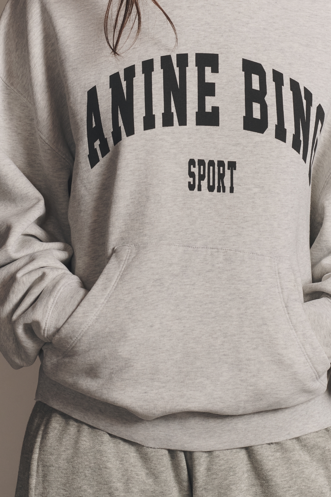 Anine Bing Harvey Hooded Sweatshirt