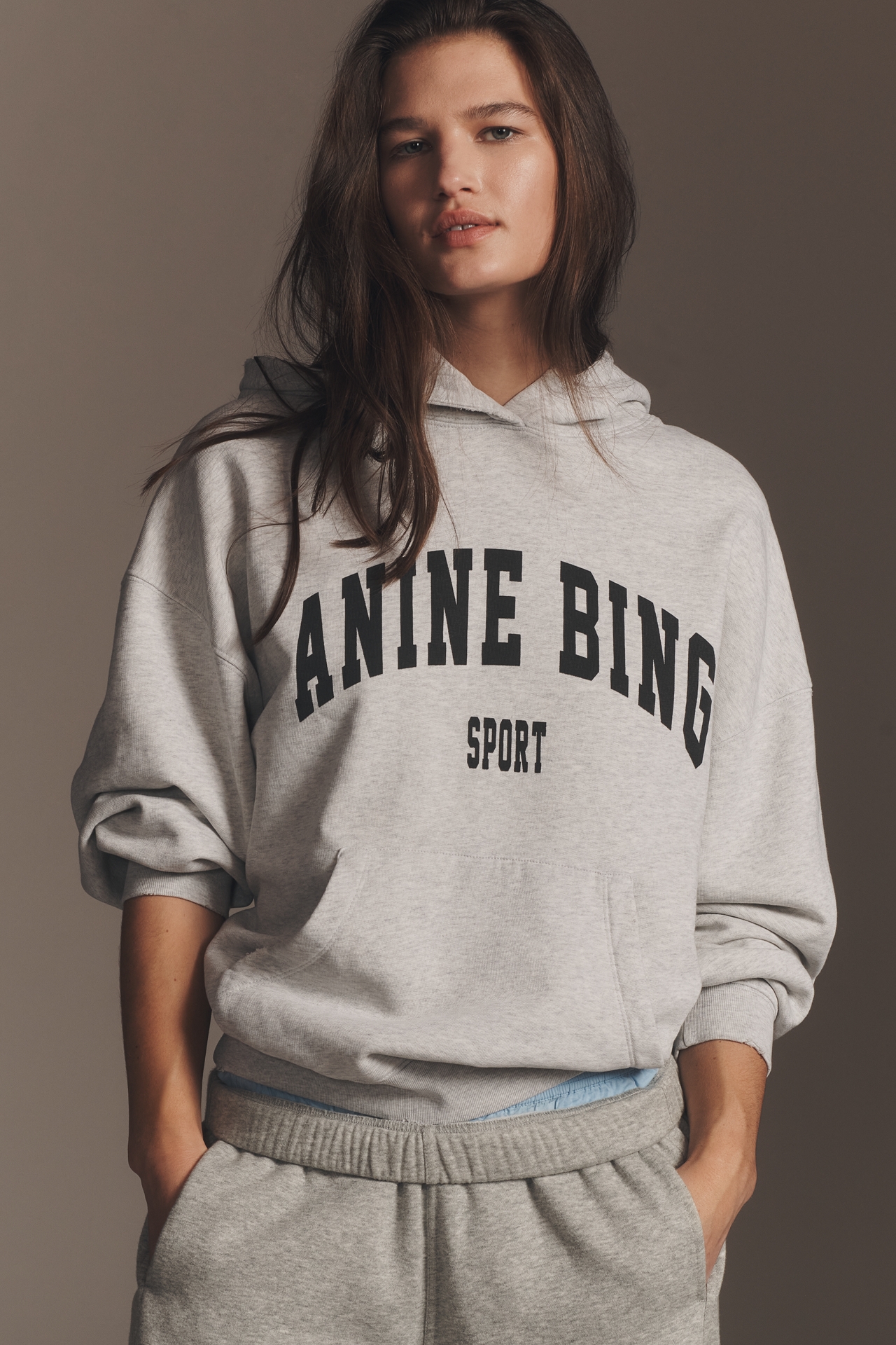 Anine Bing Harvey Hooded Sweatshirt