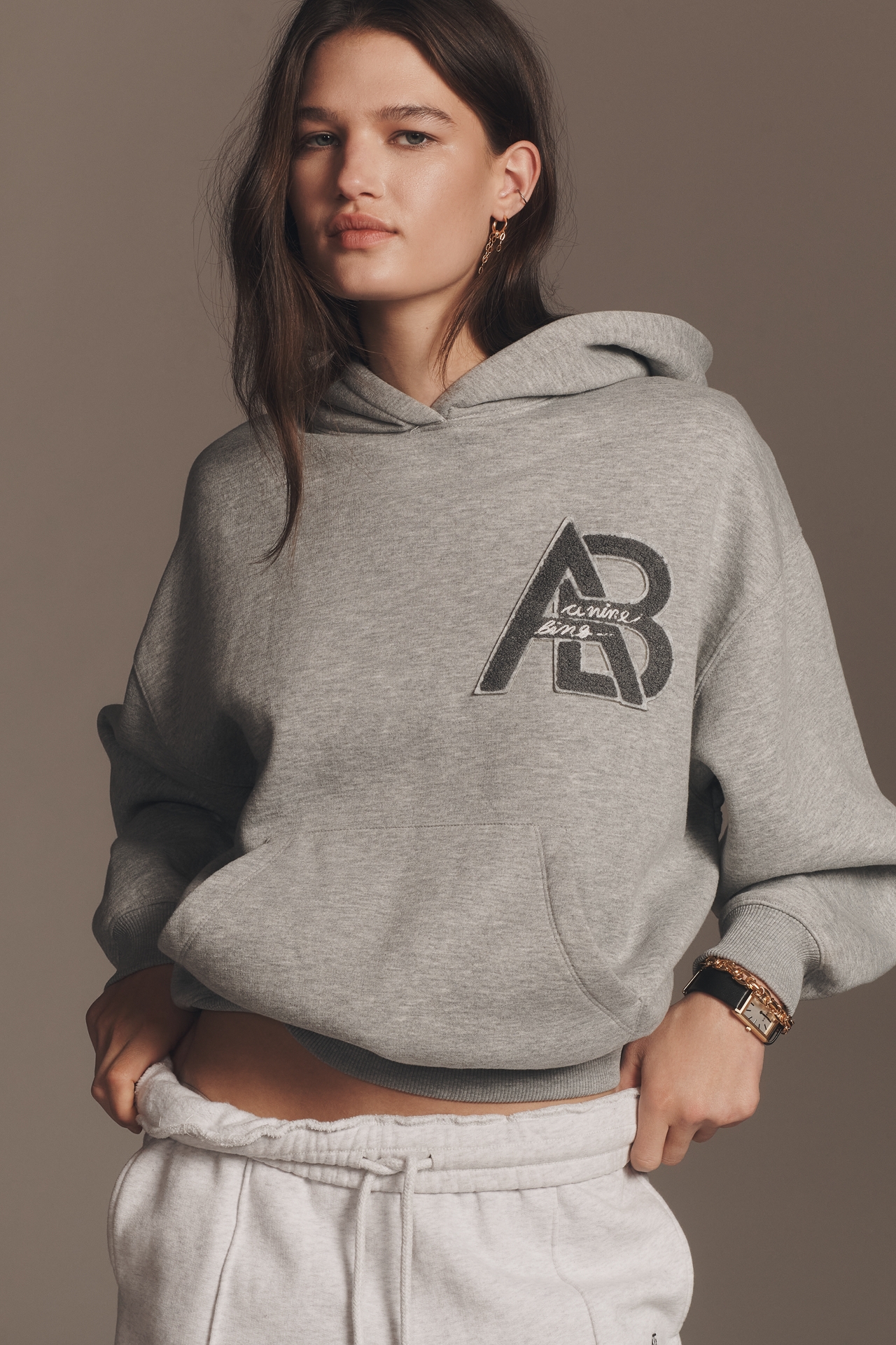 Anine Bing Jaci Letterman Hoodie