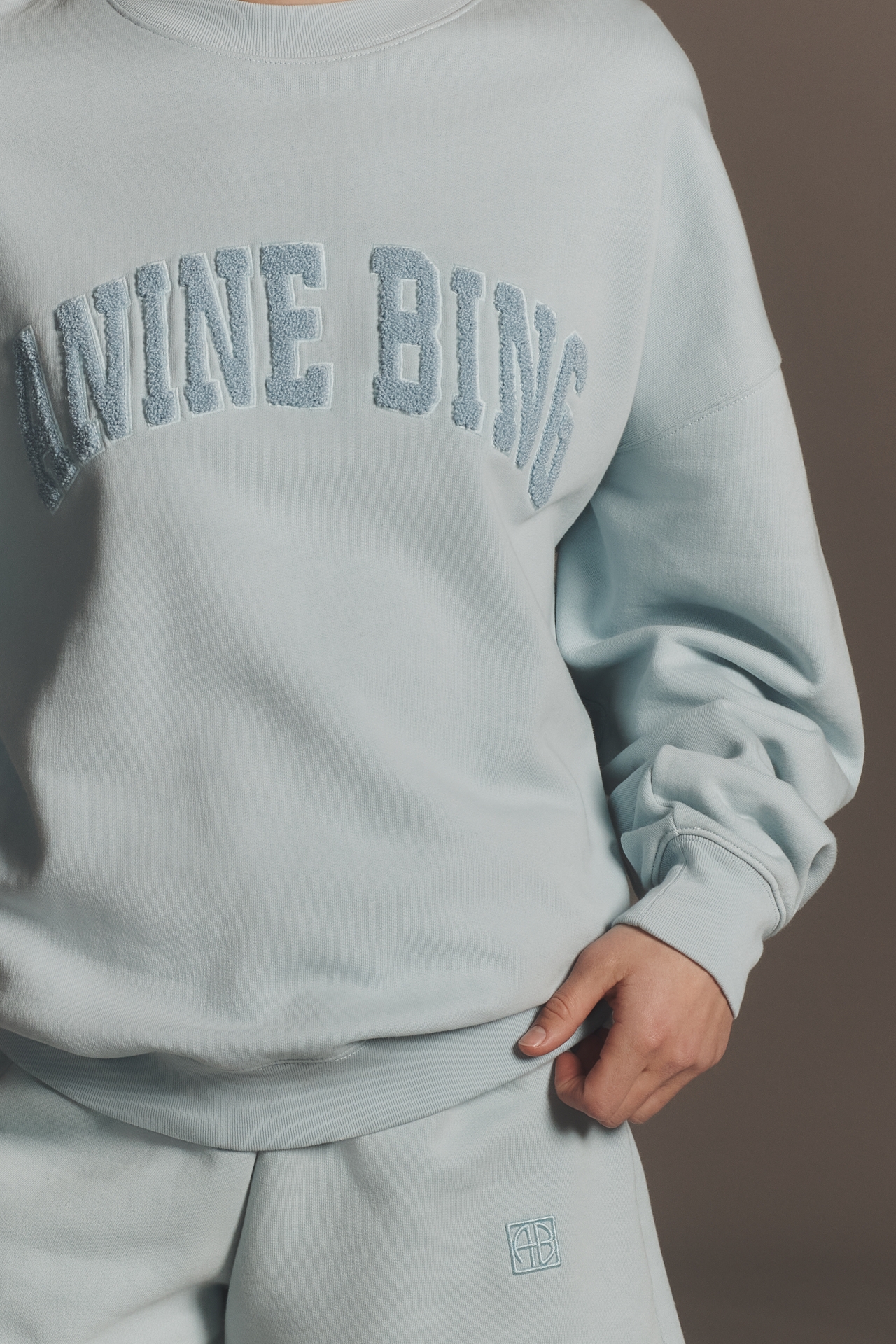 Anine Bing Miles Sweatshirt