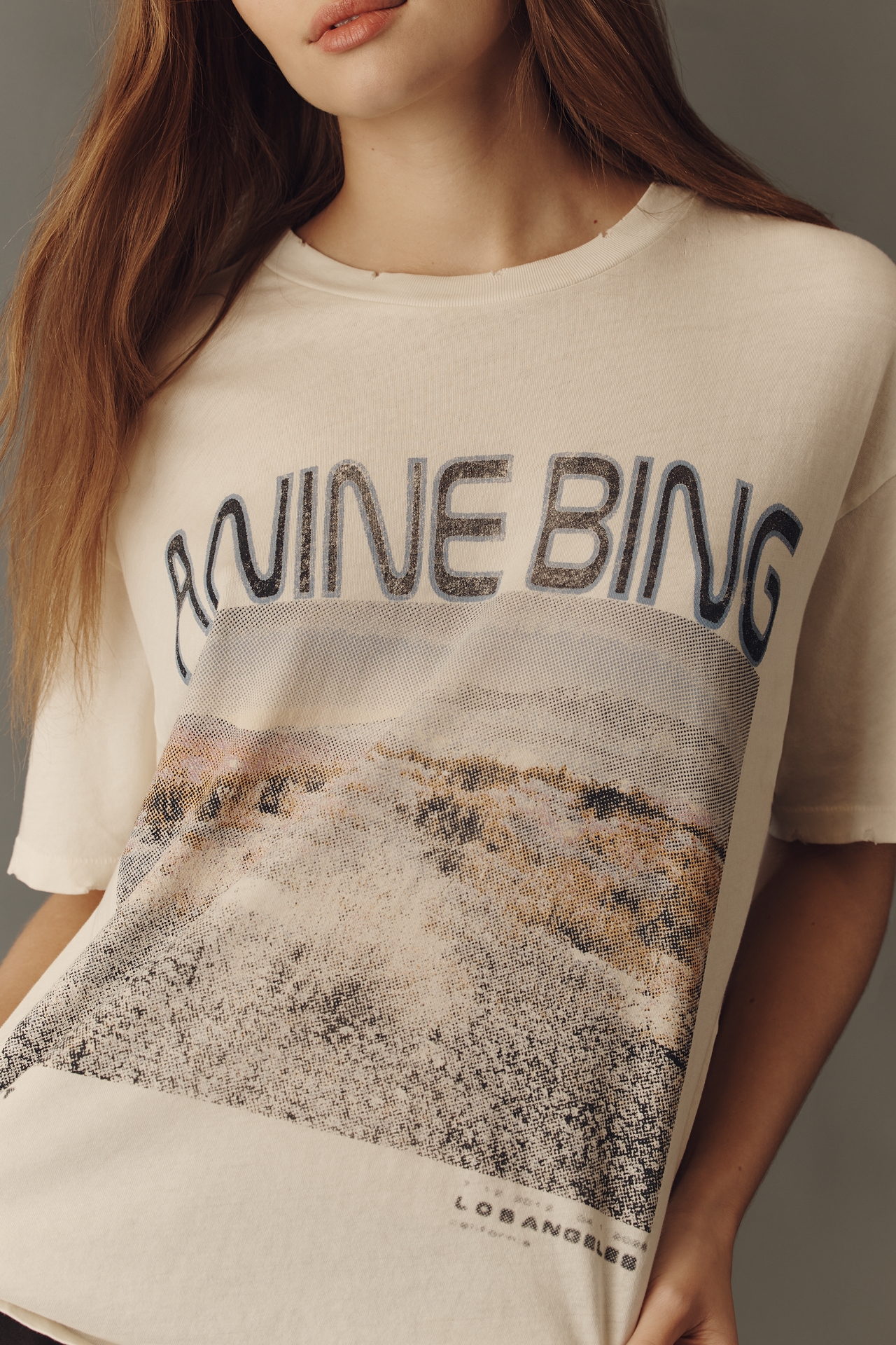Anine Bing Cade 100% Cotton Wildflower Graphic Tee