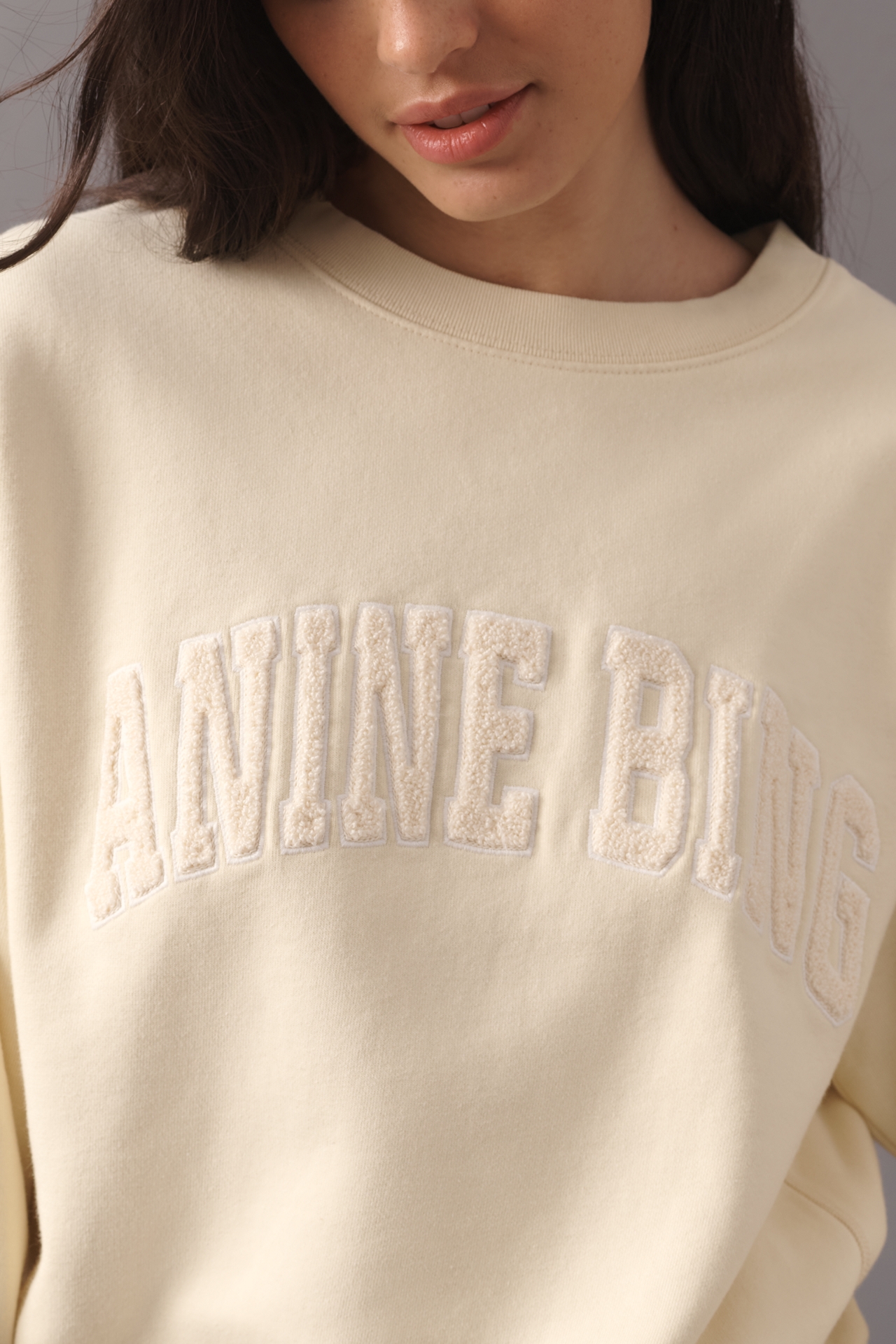 Anine Bing Harry Shrunken Sweatshirt