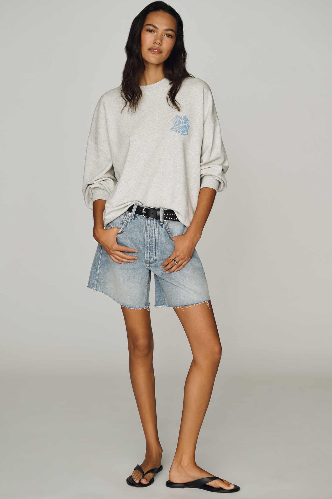 Anine Bing Delaney Denim Shorts