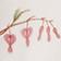Bleeding Hearts
