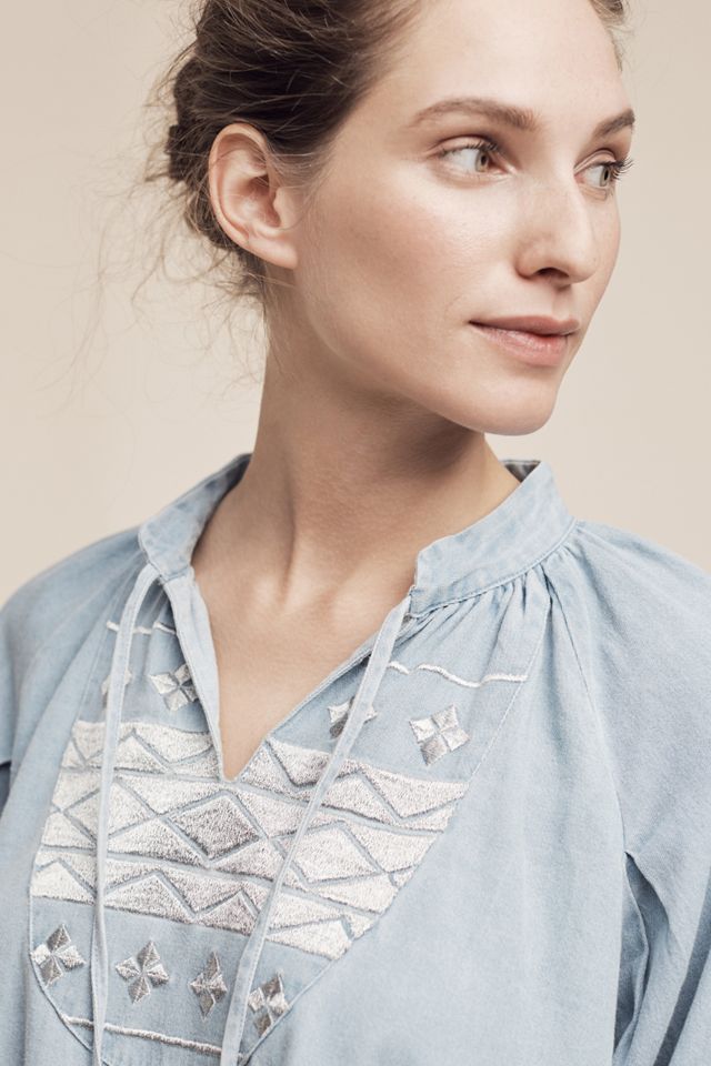 Embroidered Denim Mini Dress #1