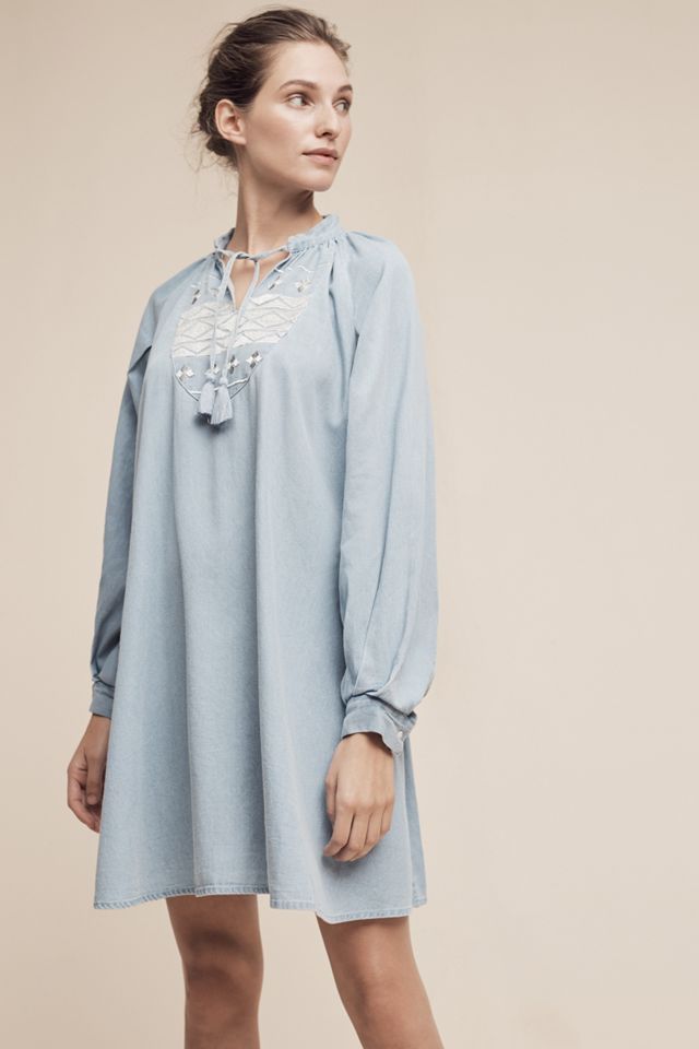 Embroidered Denim Mini Dress #2