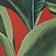 Red Pattern