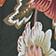 Flowering Garden Tree Gre