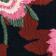 Bold Colorful Flowers