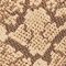 BROWN MOTIF