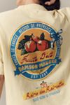 Damson Madder x Anthropologie Fruits D'été Oversized Graphic Tee
