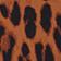 Choc Leopard