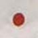 Spot