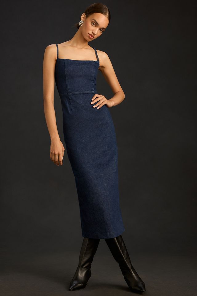 Reformation Delphinia Denim Dress | Anthropologie