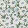 Daisy Meadow