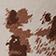 Cowhide Print