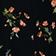Black Floral