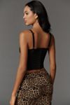 LyreBird Structured Lace-Trim Corset Top