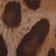 Brown Pattern