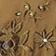 Dried Tobacco