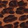 BROWN MOTIF