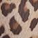 Brown Pattern