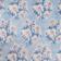 Blue Mogra