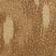 Brown Pattern