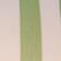 Rapture Green Stripes