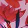 Pink Floral