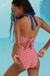 Celandine Everly Cutout One-Piece Swimsuit