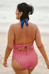 Celandine Everly Cutout One-Piece Swimsuit