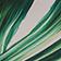 Green Pattern