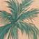 Sunset Cove Chiffon