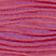 Magenta Waves