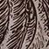 Tropic Lines