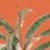 Orange Summer Palms