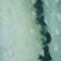 Saguaro/Green