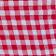 Red Micro Gingham