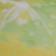 Green Pattern