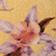 Yellow Floral