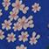 Blue Floral