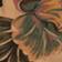 Brown Pattern