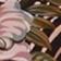 Brown Pattern