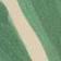 Botanical Pattern