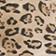Brown Pattern