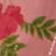 Pink Pattern