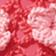 Pink Floral